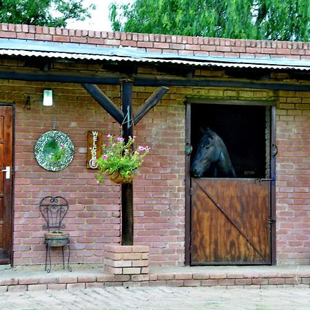 Owls Loft Guest House Midrand Exterior foto