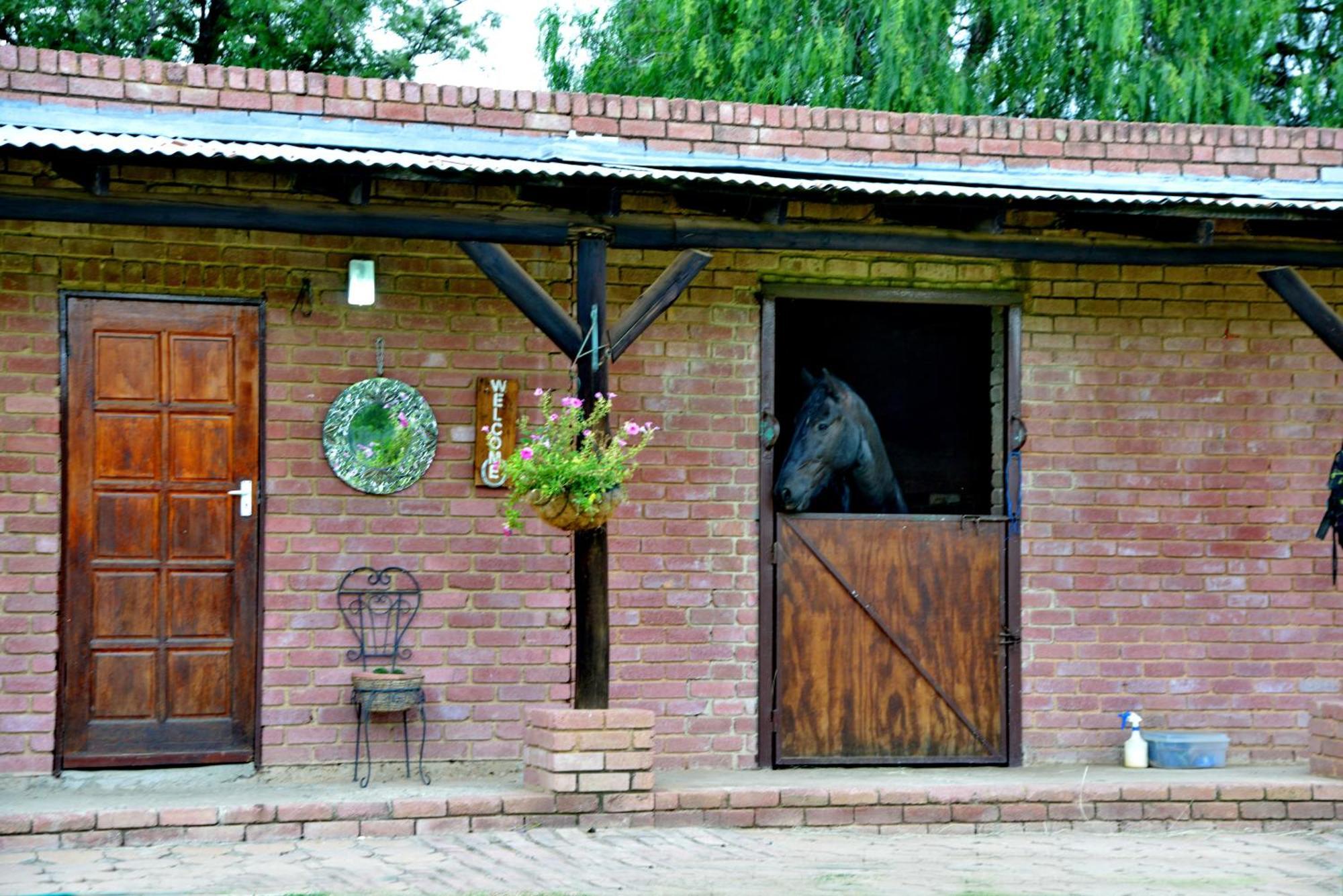 Owls Loft Guest House Midrand Exterior foto